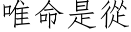 唯命是从 (仿宋矢量字库)