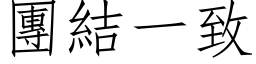 团结一致 (仿宋矢量字库)