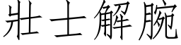 壮士解腕 (仿宋矢量字库)