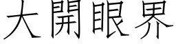 大開眼界 (仿宋矢量字库)