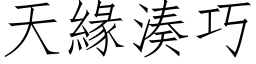 天緣湊巧 (仿宋矢量字库)