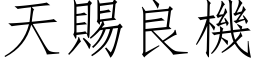 天賜良機 (仿宋矢量字库)