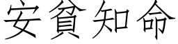 安贫知命 (仿宋矢量字库)