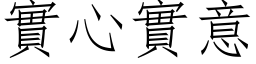 实心实意 (仿宋矢量字库)