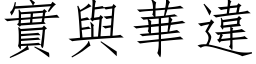 实与华违 (仿宋矢量字库)