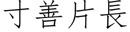 寸善片長 (仿宋矢量字库)