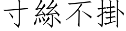 寸丝不掛 (仿宋矢量字库)