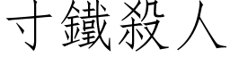 寸鐵殺人 (仿宋矢量字库)