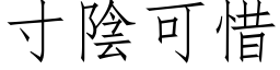 寸阴可惜 (仿宋矢量字库)