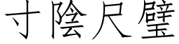 寸阴尺璧 (仿宋矢量字库)