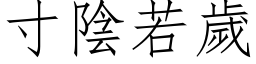 寸陰若歲 (仿宋矢量字库)