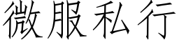 微服私行 (仿宋矢量字库)