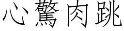 心惊肉跳 (仿宋矢量字库)