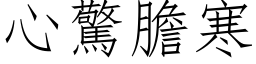 心惊胆寒 (仿宋矢量字库)