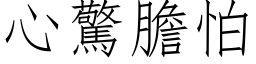 心惊胆怕 (仿宋矢量字库)