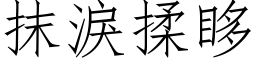 抹淚揉眵 (仿宋矢量字库)