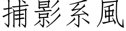 捕影系風 (仿宋矢量字库)