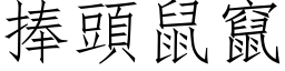 捧頭鼠竄 (仿宋矢量字库)