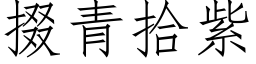 掇青拾紫 (仿宋矢量字库)