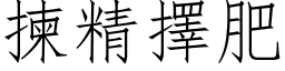 揀精擇肥 (仿宋矢量字库)