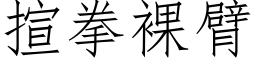 揎拳裸臂 (仿宋矢量字库)