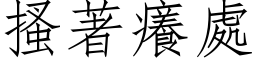 搔著痒处 (仿宋矢量字库)