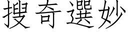 搜奇选妙 (仿宋矢量字库)