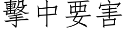 擊中要害 (仿宋矢量字库)