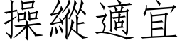 操縱適宜 (仿宋矢量字库)