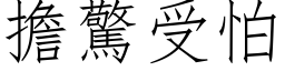 担惊受怕 (仿宋矢量字库)