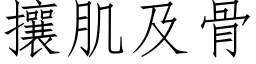 攘肌及骨 (仿宋矢量字库)