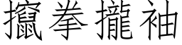 攛拳拢袖 (仿宋矢量字库)