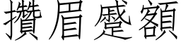 攒眉蹙额 (仿宋矢量字库)