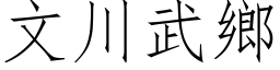 文川武乡 (仿宋矢量字库)