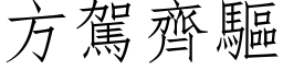 方駕齊驅 (仿宋矢量字库)