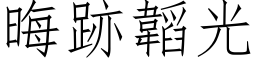 晦跡韜光 (仿宋矢量字库)