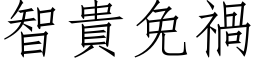 智貴免禍 (仿宋矢量字库)