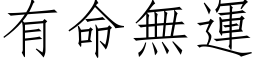 有命無運 (仿宋矢量字库)