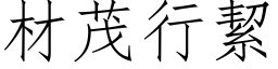 材茂行絜 (仿宋矢量字库)