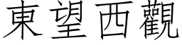 東望西觀 (仿宋矢量字库)