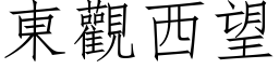 东观西望 (仿宋矢量字库)