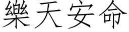 樂天安命 (仿宋矢量字库)