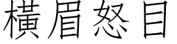 横眉怒目 (仿宋矢量字库)