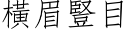 橫眉豎目 (仿宋矢量字库)