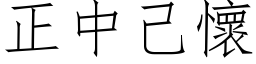 正中己懷 (仿宋矢量字库)