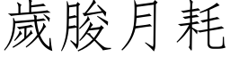 岁朘月耗 (仿宋矢量字库)