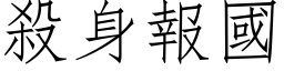 殺身報國 (仿宋矢量字库)