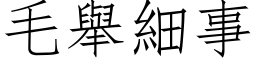 毛举细事 (仿宋矢量字库)