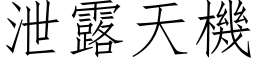 泄露天机 (仿宋矢量字库)