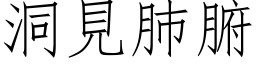 洞見肺腑 (仿宋矢量字库)